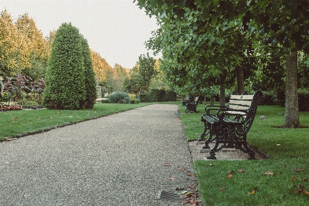 Bench park rest resting Photo