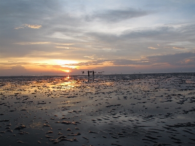 Sunrise beach sky horizon Photo