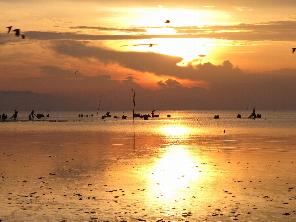 Sunrise beach sky horizon