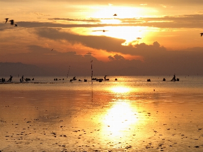 Sunrise beach sky horizon Photo