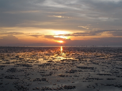 Foto Alba spiaggia orizzonte cielo