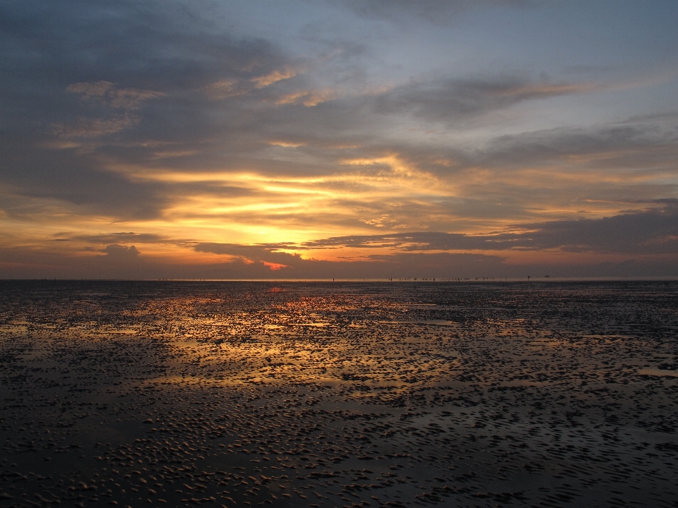 Lever du soleil plage ciel horizon