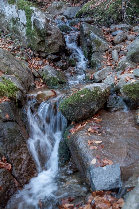 Stream 森 水 水域
