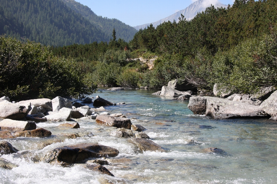 природа водное пространство
 водные ресурсы
 река