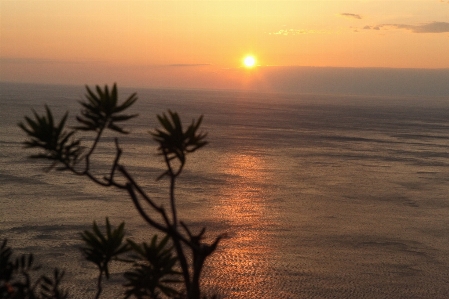 Sea sky horizon nature Photo