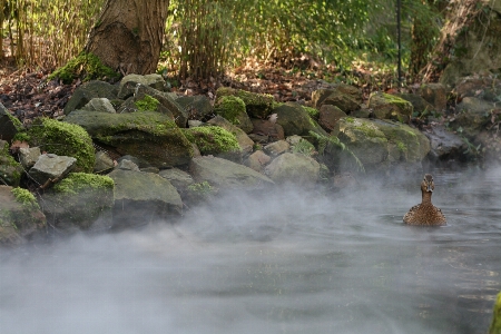 Mist body of water resources natural landscape Photo