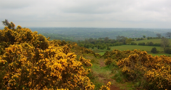 Nature vegetation natural landscape sky Photo