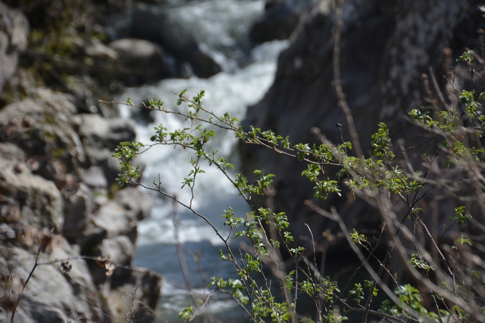 Creek nature landscapes rivers