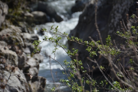 Creek nature landscapes rivers Photo