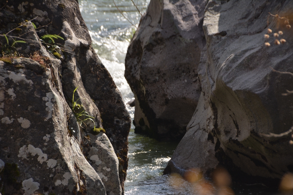 Creek nature landscapes rivers