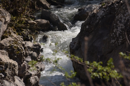 Creek nature landscapes rivers Photo