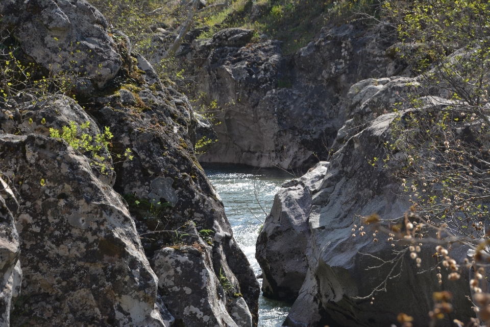 Creek nature landscapes rivers