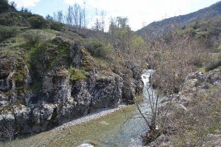 Creek nature landscapes rivers Photo