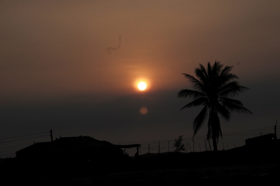 Sonnenaufgang strand kokosnuss himmel