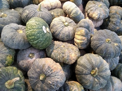 Pumpkin squash produce orange Photo