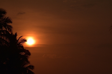 Morning sunrise sky sunset Photo