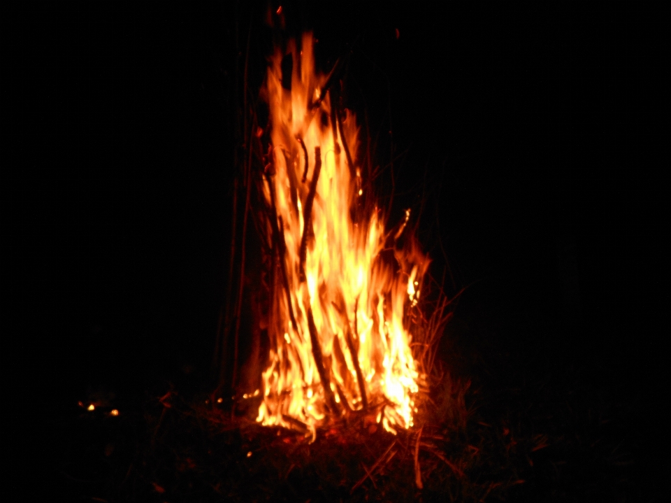 Feuer flamme lagerfeuer hitze