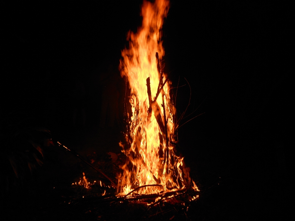 Fire flame bonfire heat