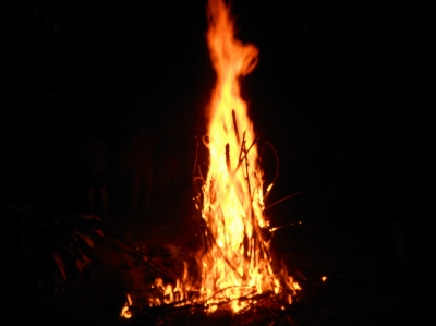 Fire flame heat bonfire Photo