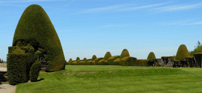 Topiary castle rock green Photo