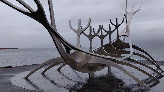 Natural sculpture antler water Photo