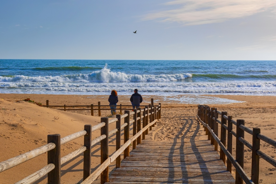 Sea waves beach wave