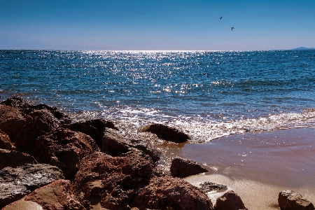 Sea body of water beach shore Photo