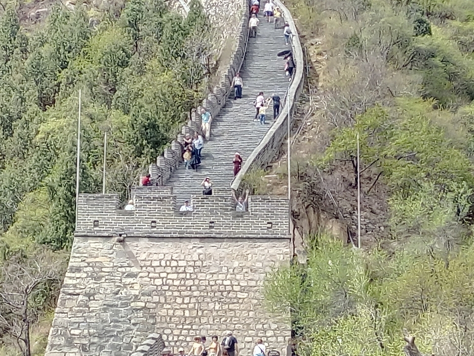 Chine bridge tree thoroughfare