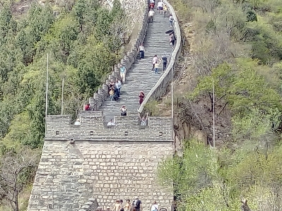 Chine bridge tree thoroughfare Photo