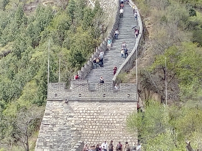 Chine bridge tree landscape Photo