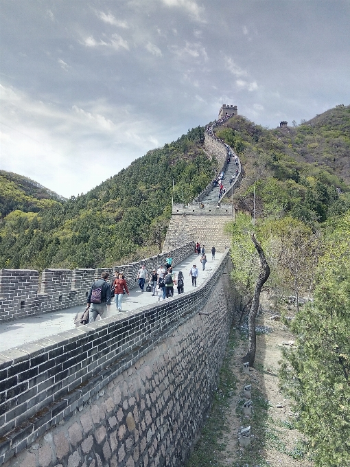 中国
 山 輸送 車両