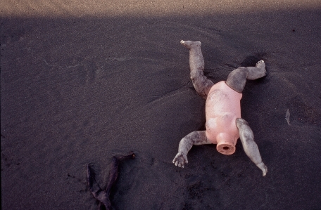 Foto Praia boneca sem cabeça
 morte