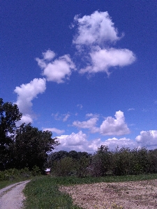 Natural sky cloud cumulus Photo