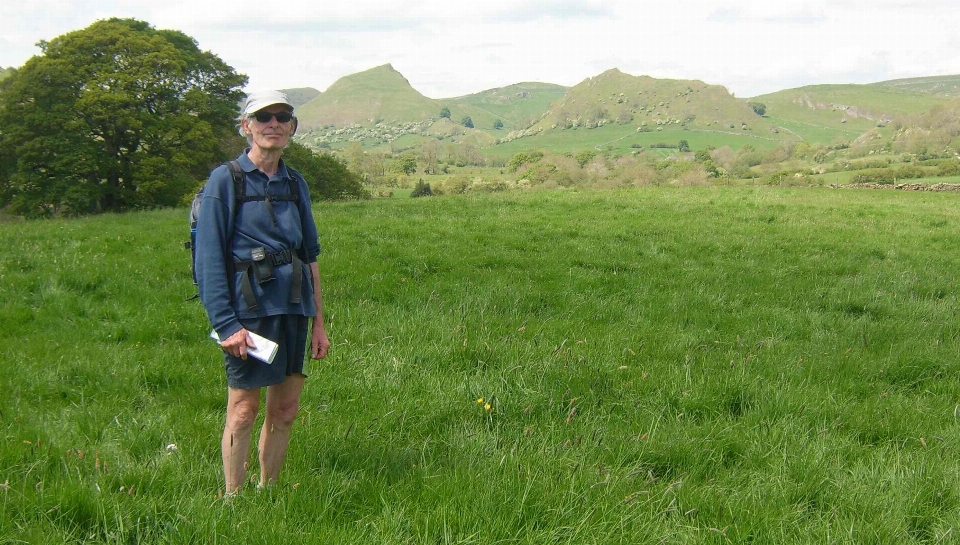 Hills grassland pasture grass