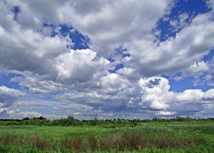 Sky clouds green grass Photo