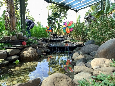 Indonesia natural pond garden Photo