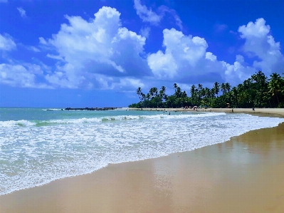 Sky body of water beach sea Photo