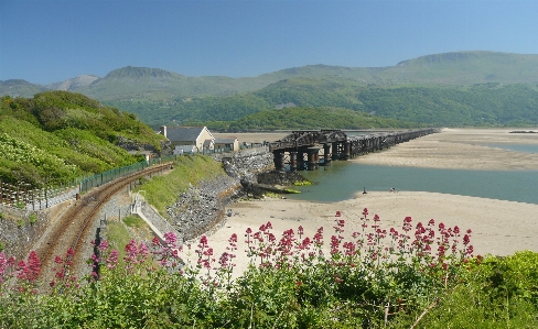 Bridge transport rural area flower Photo