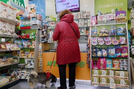 Pet shop dog client supermarket Photo