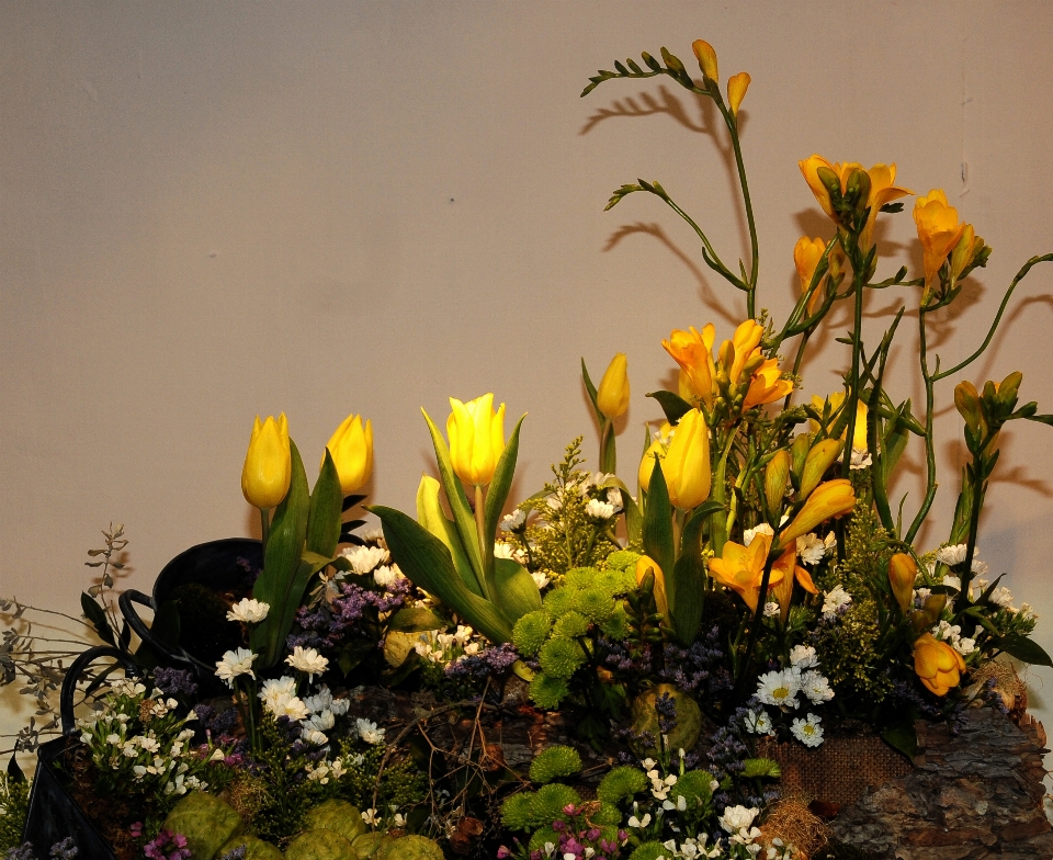 Flower lanscape floristry arranging