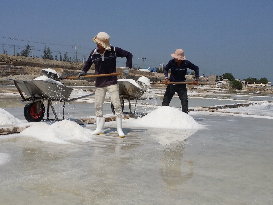 Salt beach life evaporation pond