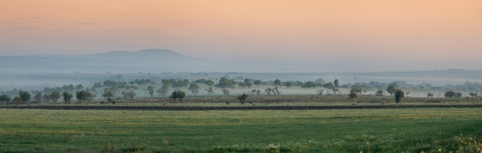 Landscape misty morning field Photo