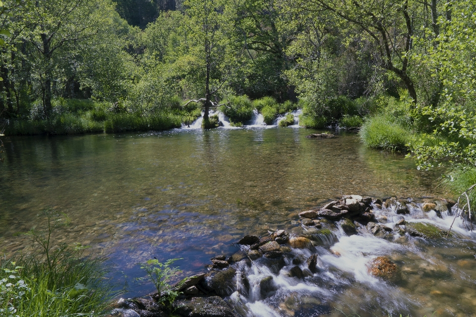 Nature rivière forêt plan d'eau
