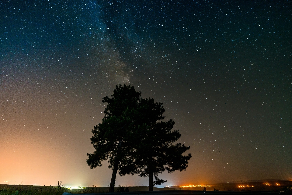 Trees brothers sky stars