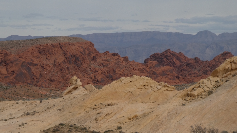 Las vegas
 bergige landschaftsformen
 Ödland
 makhtesh
