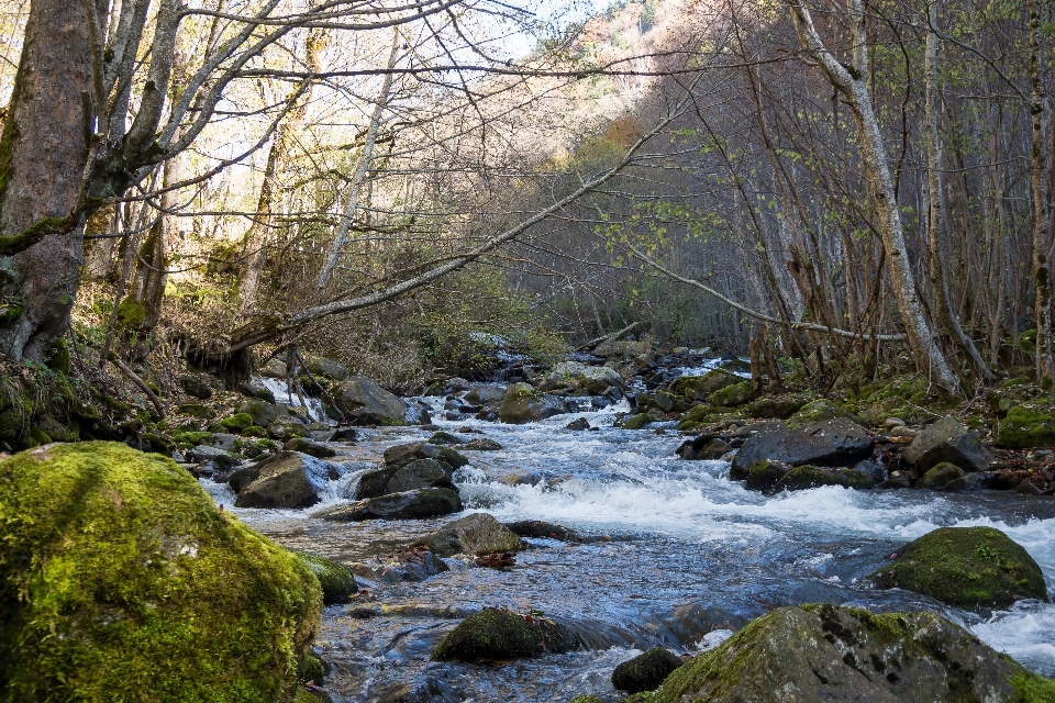 Stream mountain water body of