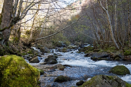 Stream mountain water body of Photo