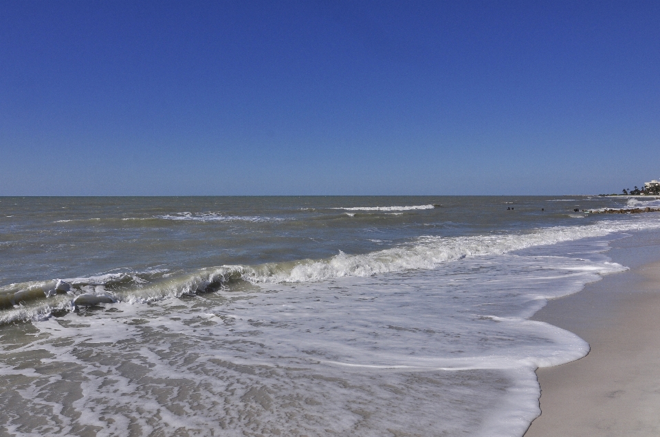 Неаполь
 Флорида пляж вода