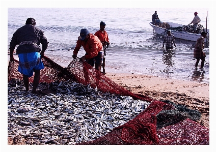 Foto Alami jaring ikan
 penangkapan ikan nelayan
