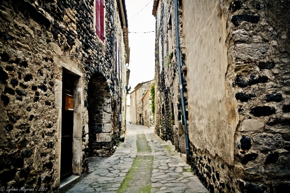 Natural alley street wall